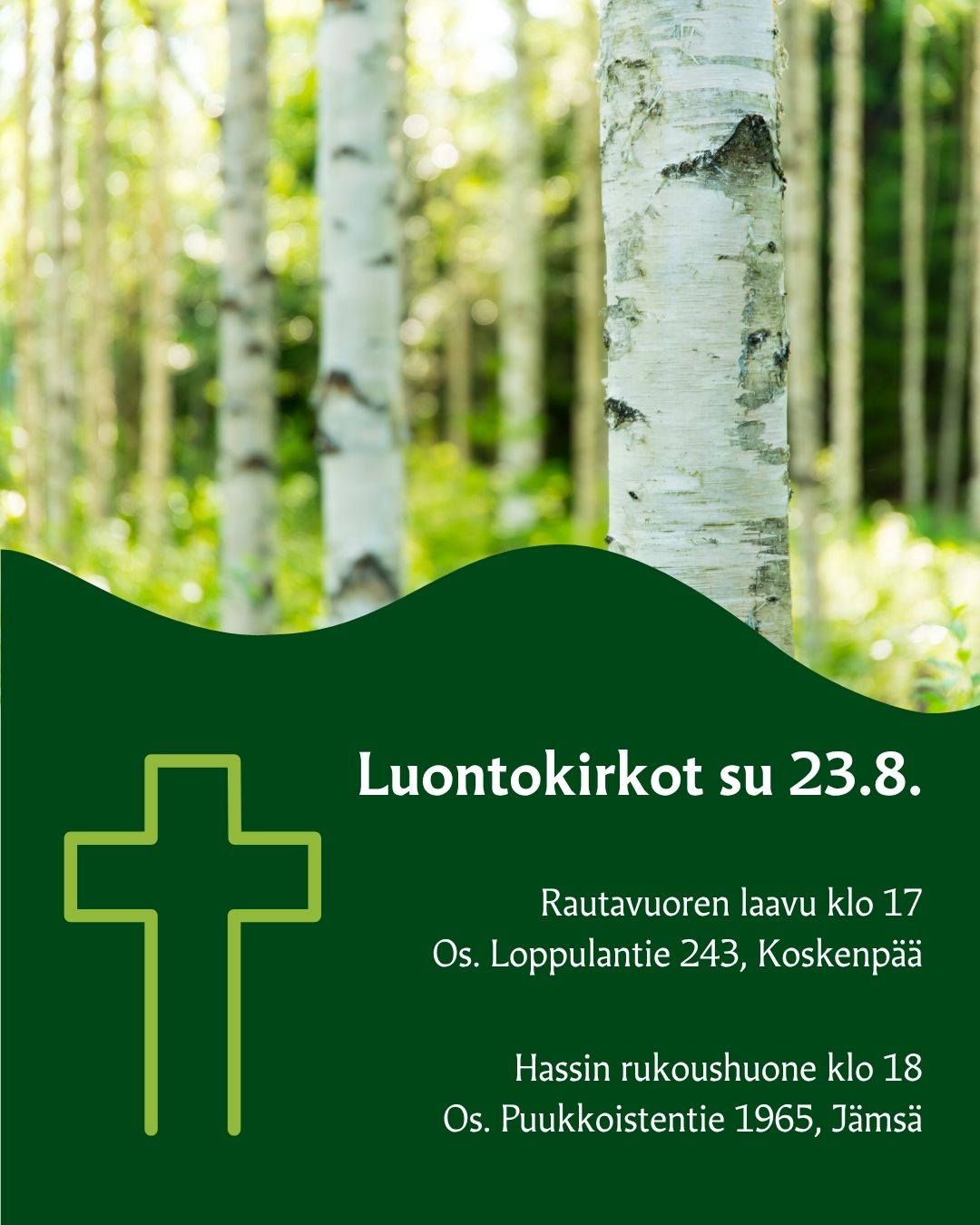Koivumetsää
