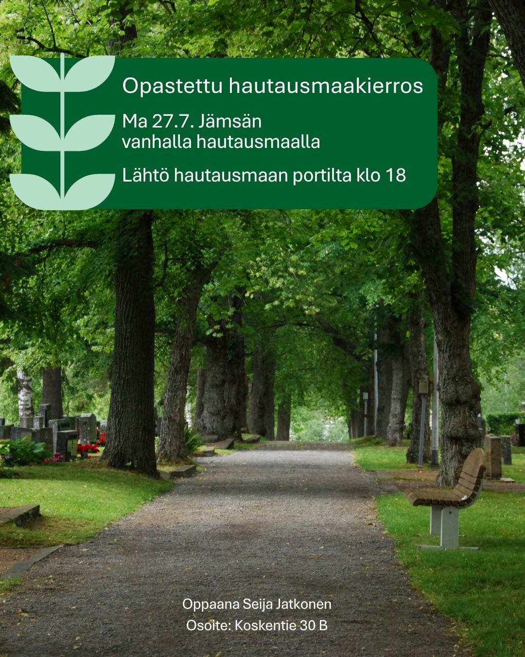 Hautausmaa, jonka keskellä kulkee hiekoitettu polku.