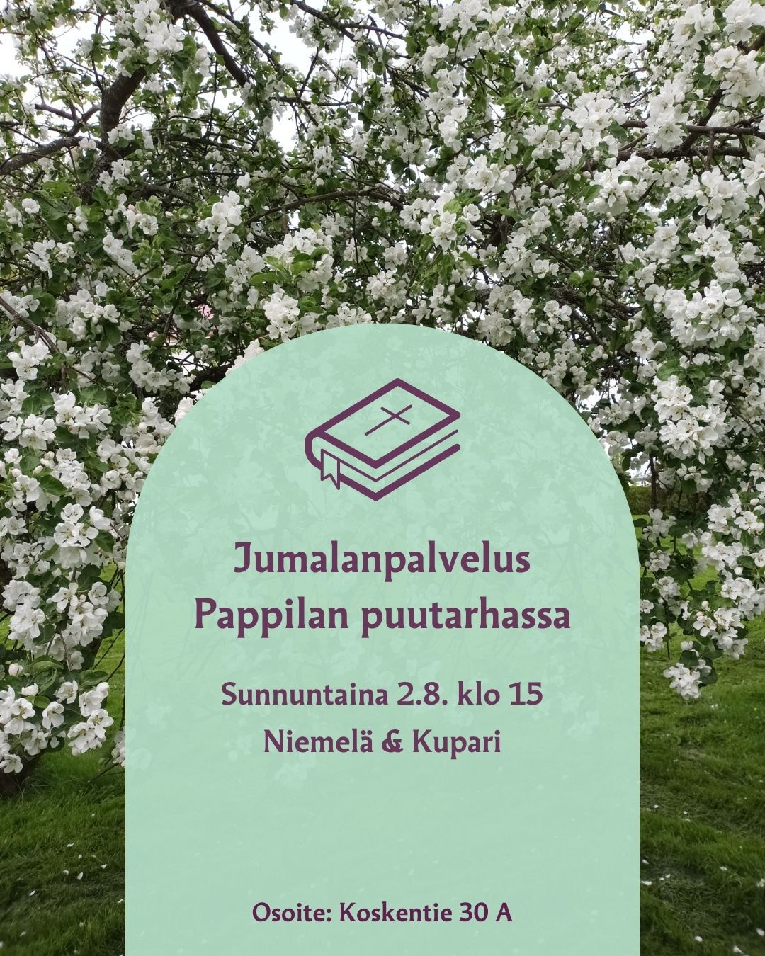 Omenapuun kukkia.