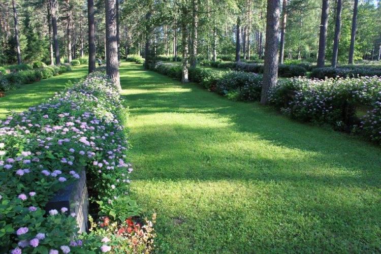Hautausmaan nurmialue, jonka muistomerkkirivien välissä pensaita.
